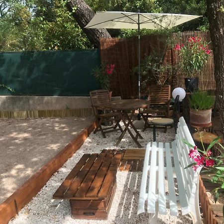 Mas Provencal Au Cannet Des Maures 勒卡内代莫尔 外观 照片