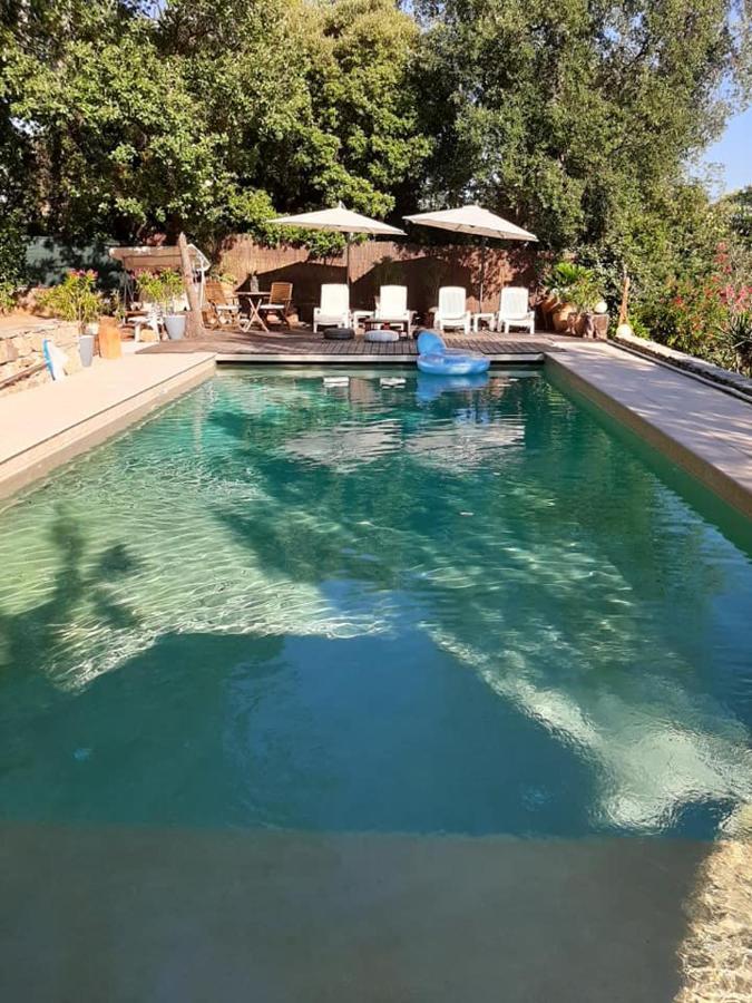 Mas Provencal Au Cannet Des Maures 勒卡内代莫尔 外观 照片